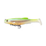CHART BACK SHAD
