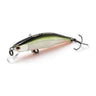 TSD Tennessee Shad
