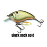 Black Back Gold