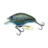 Brown Craw Fish