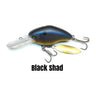Black Shad