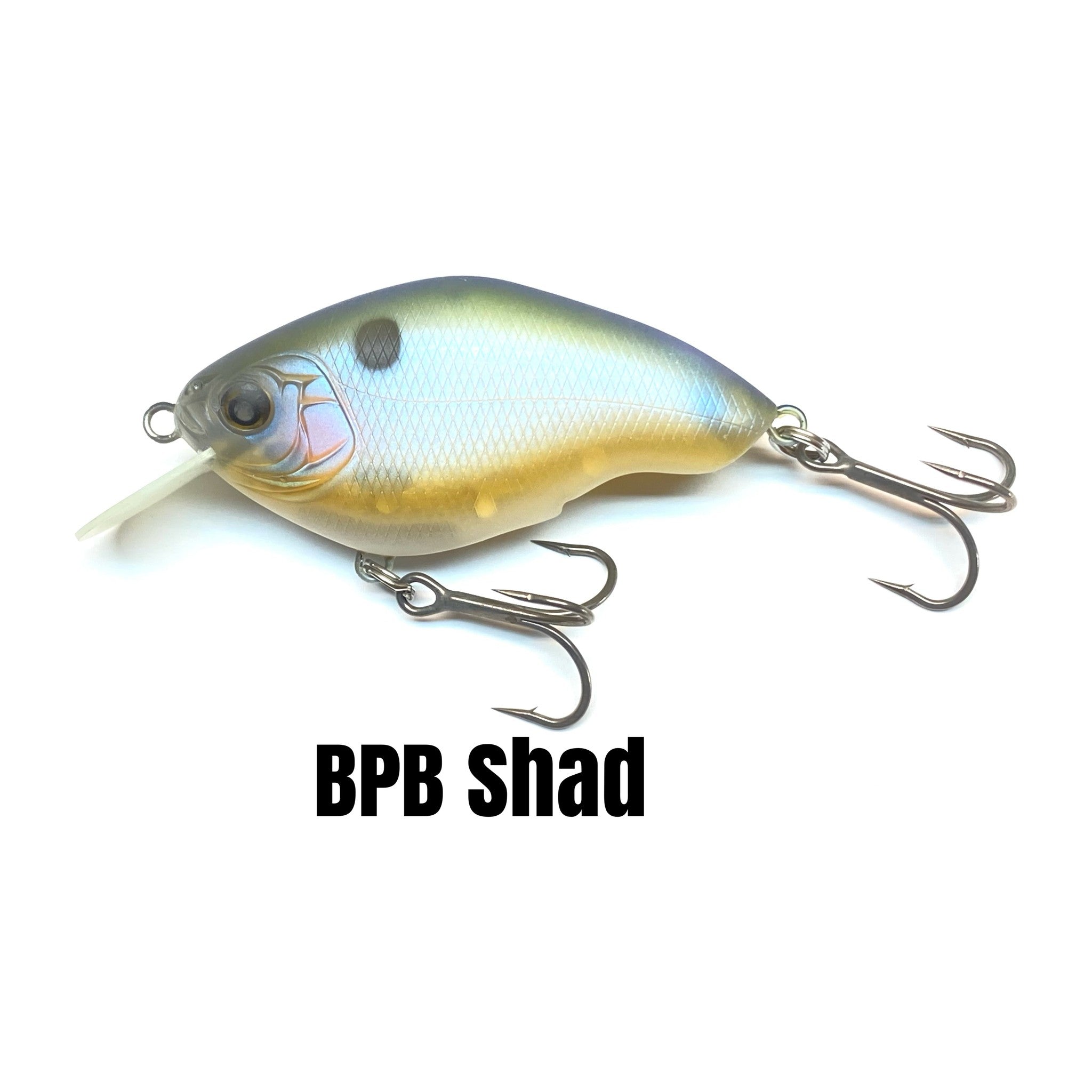 Nishine Lure Works Chippawa RB in BPB Shad — official Nishine Lure Works product photo