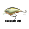 Black Back Gold