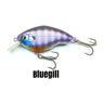 Bluegill