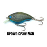 Brown Craw Fish