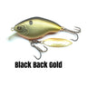 Black Back Gold