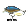 Black Shad