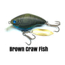 Brown Craw Fish