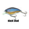 Black Shad