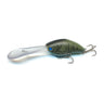 Brown Craw Fish