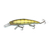 Yellow Perch