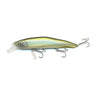 Hologram Smelt