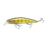 Yellow Perch