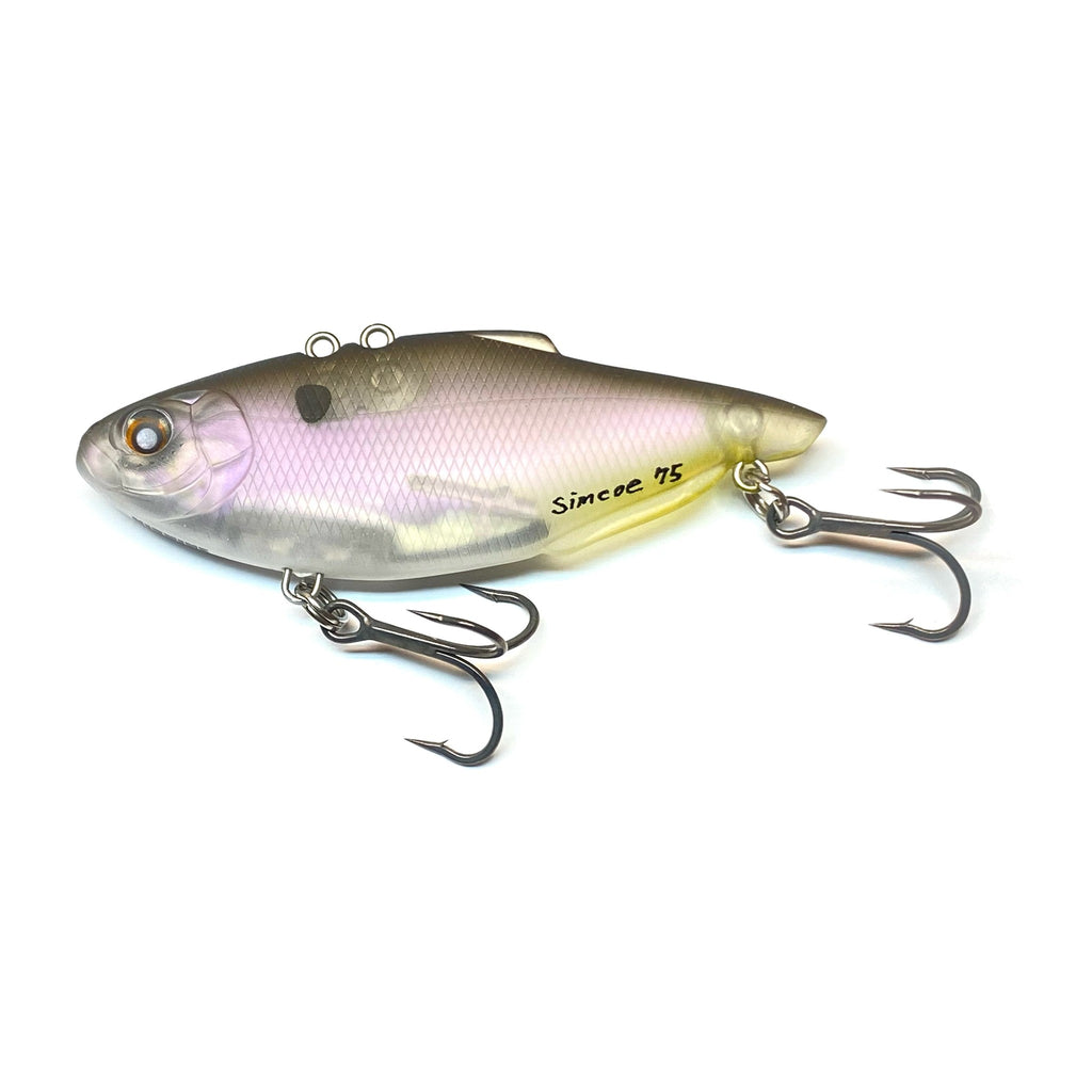 Nishine Lure Works Simcoe 75 in Ghost Shad — official Nishine Lure Works product photo
