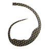 Black Gold Scale