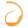 Shrimp Orange Scale