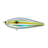 #05 Japanese Sardinella (Sappa)