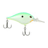 Citrus Shad