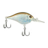 HD Blueback Herring