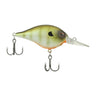 Killer Gill
