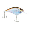 HD Blueback Herring