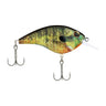 HD Bluegill