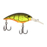 Root Beer Craw