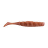 Worm
