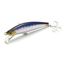 SNI Fresh Sardine