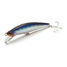 SRI Red Belly Sardine