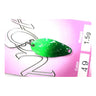 #49 Cucumber/White