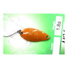 #10 Orange (Daidai)