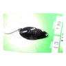 #13 Black
