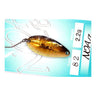 #82 2014 Nobu Color
