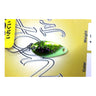 #14 Fluorescent Yellow