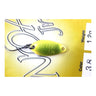 #38 Translucent Chartreuse