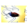 #95 2020 Matsumoto Color