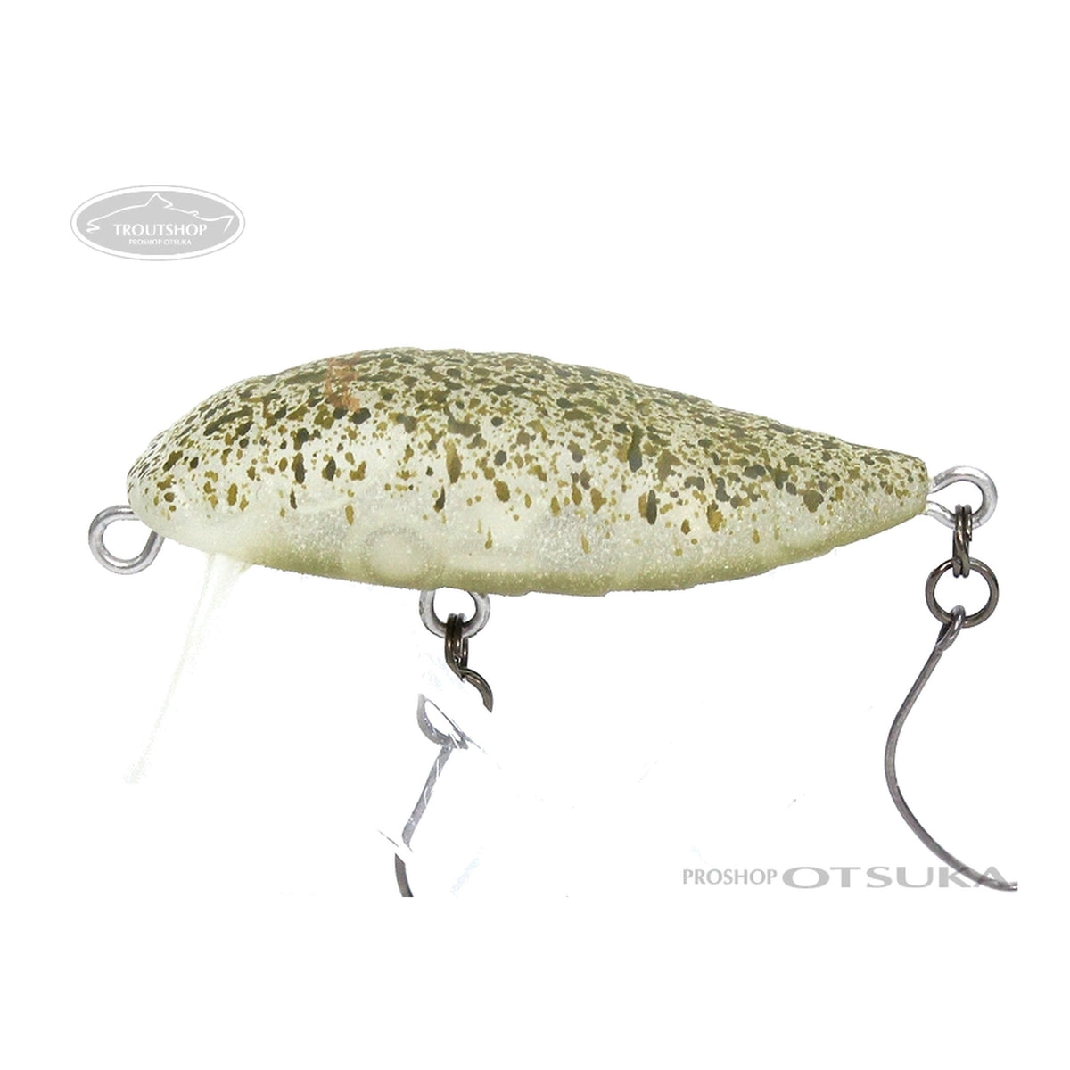 Rodio Craft RC Cicada #21 2014 Nobu Color