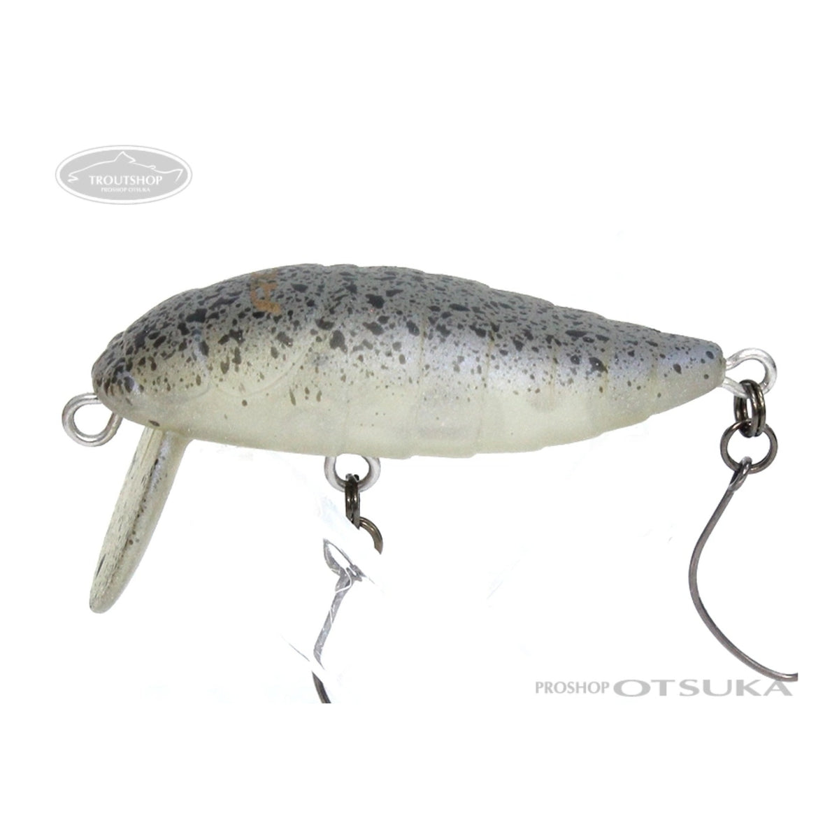 Rodio Craft RC Cicada #23 S.M VI