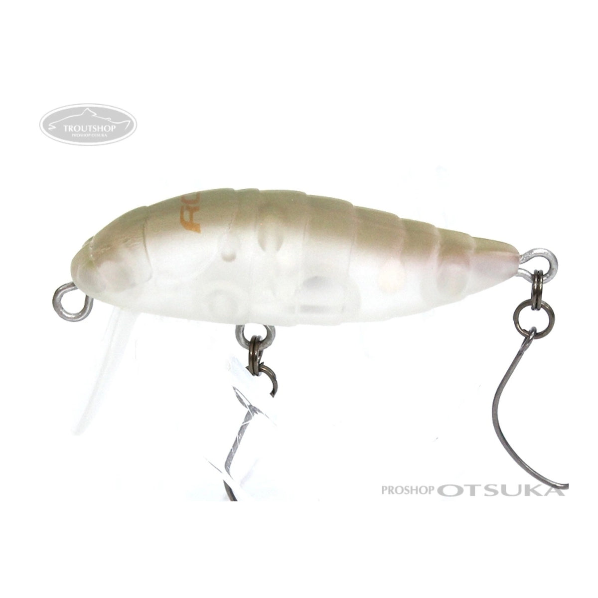 Rodio Craft RC Cicada #3 Sachio Brown