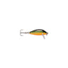 BTR - Brook Trout