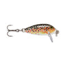 TR - Brown Trout