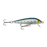 JMIW - Sardine (Maiwashi) - Japan Special