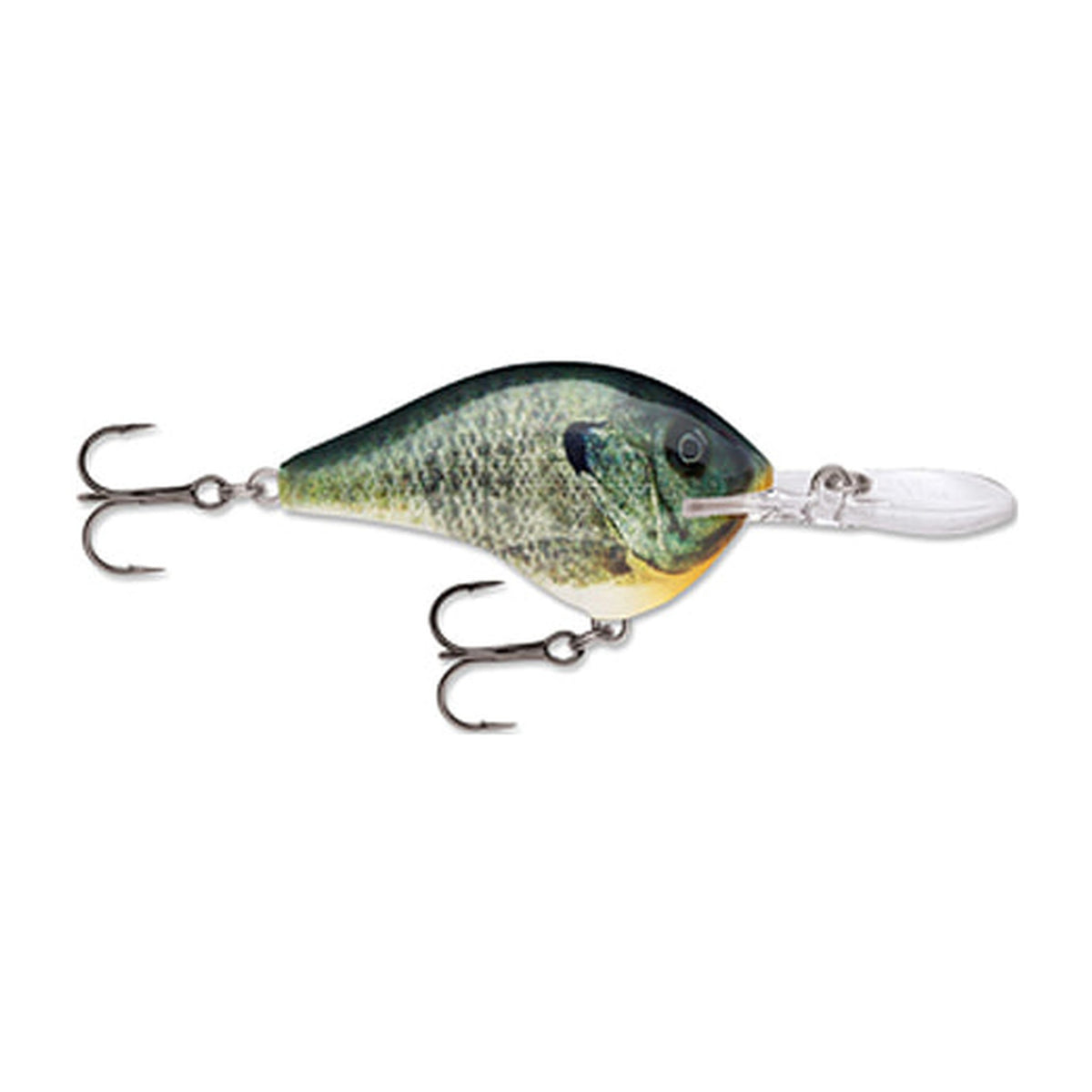Rapala Dives-To DT4 in BGL - Live Bluegill — official Rapala product photo