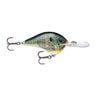 BGL - Live Bluegill