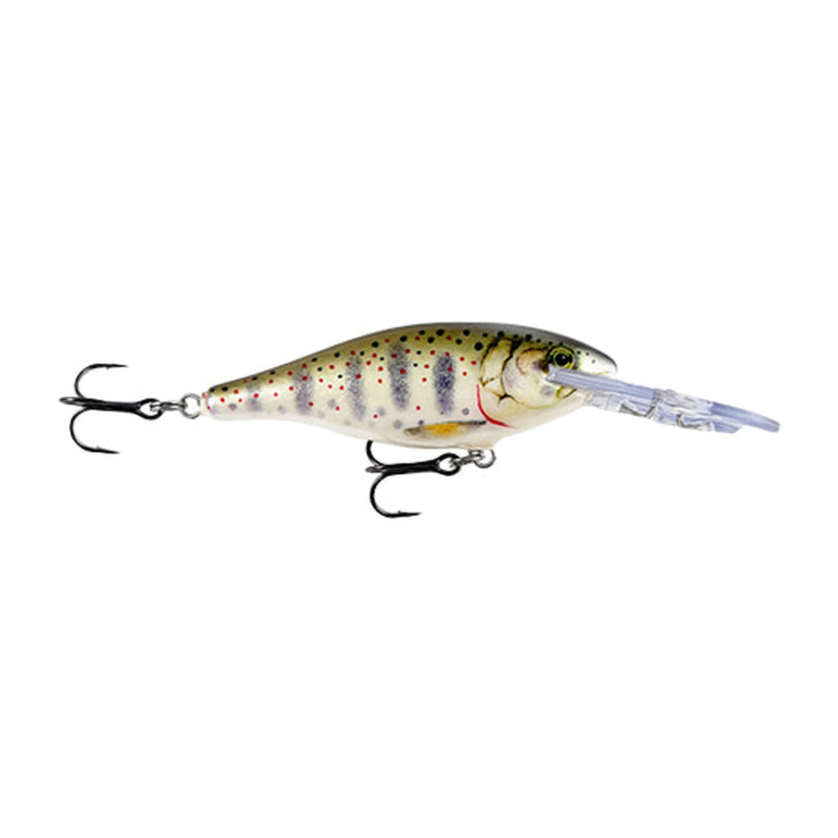 Rapala Shad Rap SR7 in AMG - Amago (Japanese Trout) — official Rapala product photo