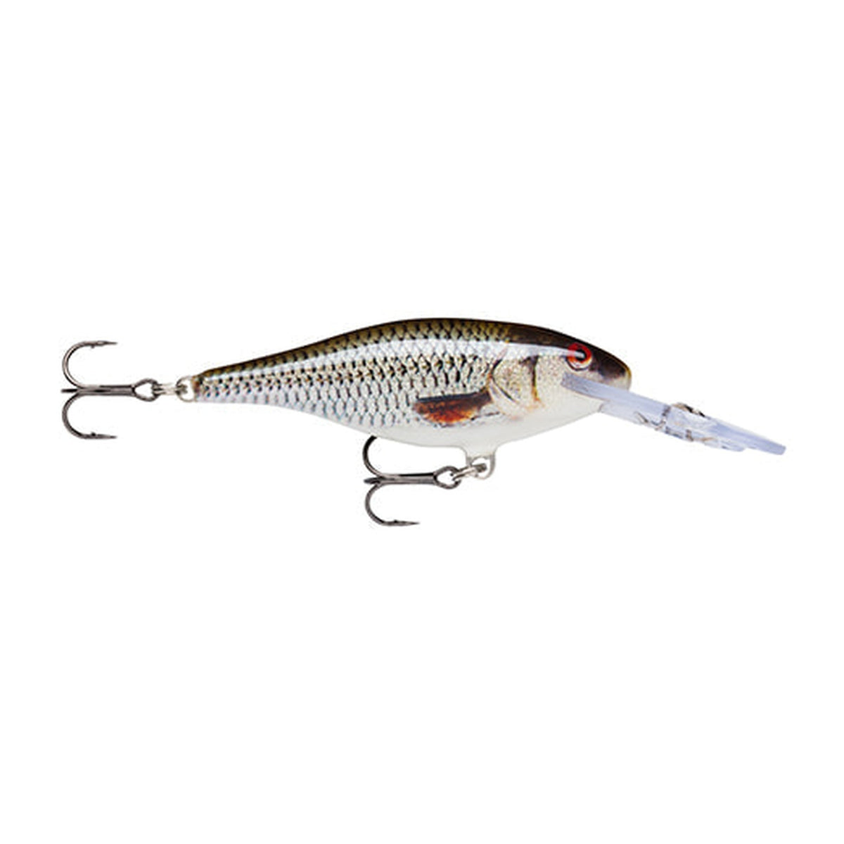 Rapala Shad Rap SR7 in ROL - Live Roach — official Rapala product photo