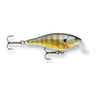 BG - Bluegill