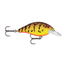 0553 - Brown Mud Crawfish