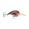 59 - Phantom Brown Crayfish